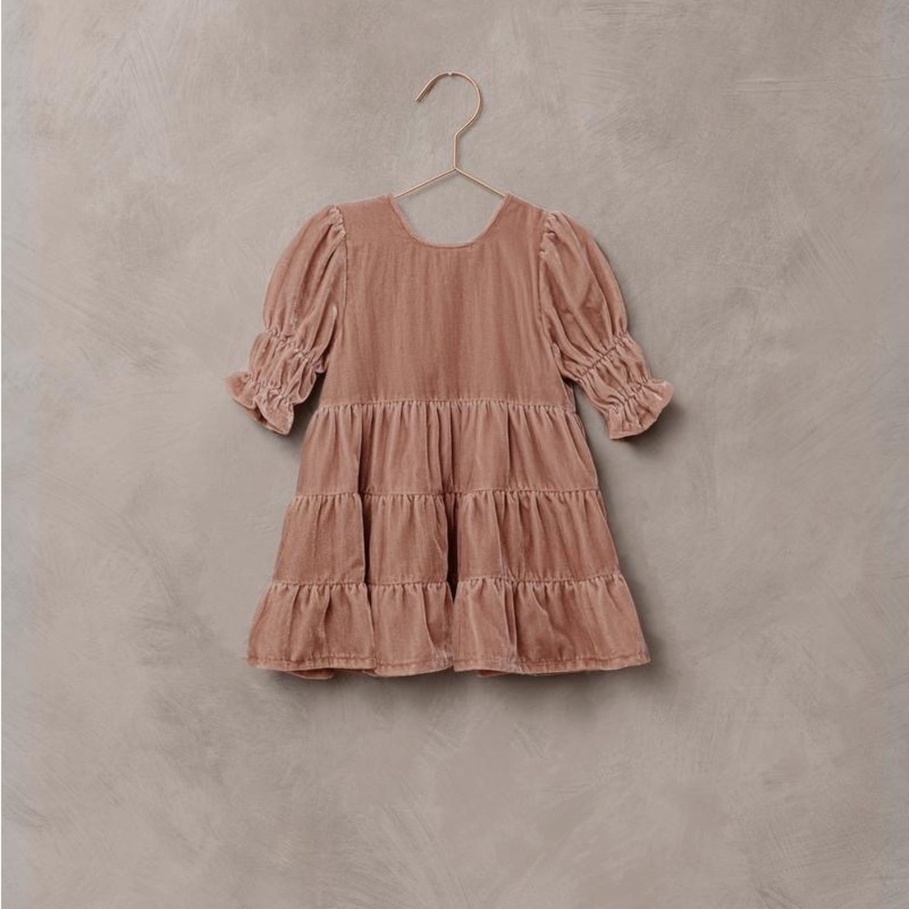 Noralee velvet dress 2T